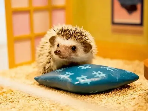 女友達が喜ぶ誕生日プレゼント特集！20代・30代・40代別の人気ギフトと選び方